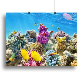 Wonderful and beautiful underwater Canvas Print or Poster (Type: Standard Framed Canvas Print, size: 28" x 20" / 70cm x 50cm (approx))